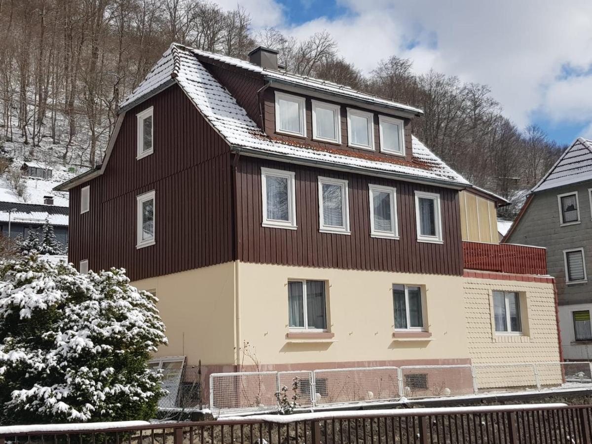 Ferienhaus Am Fluss Mit Traumhafter Dachterrasse ,Garten Und Grill Walkenried Dış mekan fotoğraf