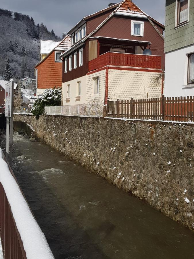Ferienhaus Am Fluss Mit Traumhafter Dachterrasse ,Garten Und Grill Walkenried Dış mekan fotoğraf