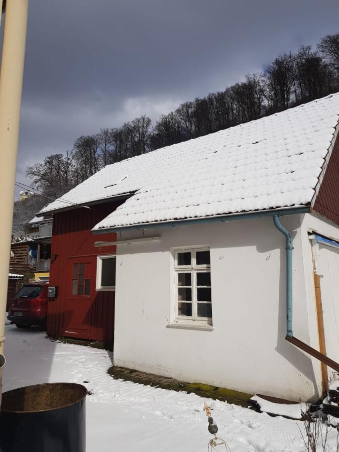 Ferienhaus Am Fluss Mit Traumhafter Dachterrasse ,Garten Und Grill Walkenried Dış mekan fotoğraf