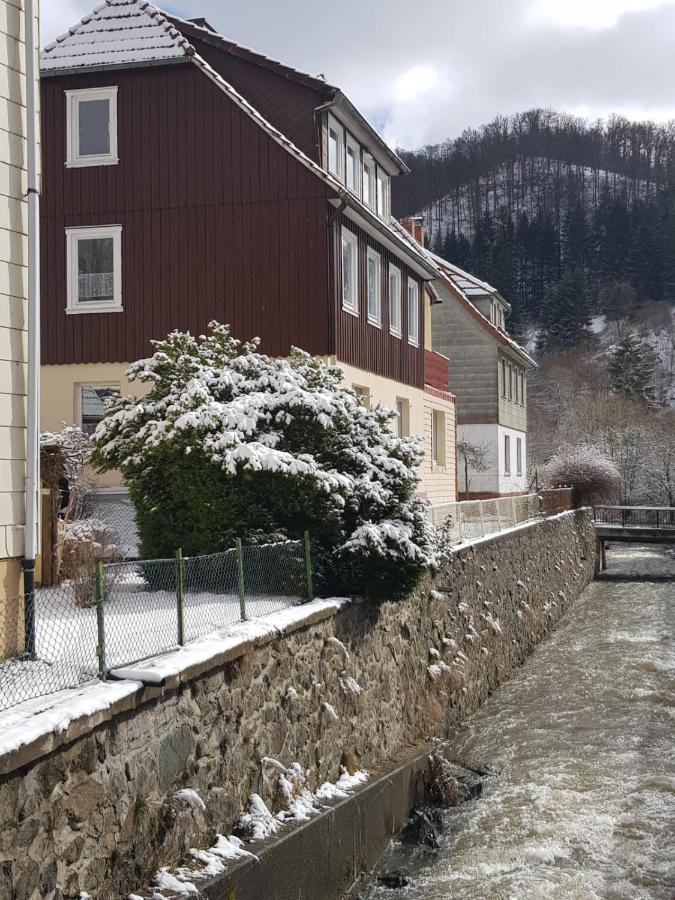 Ferienhaus Am Fluss Mit Traumhafter Dachterrasse ,Garten Und Grill Walkenried Dış mekan fotoğraf