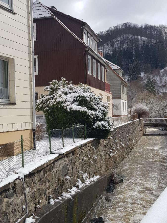 Ferienhaus Am Fluss Mit Traumhafter Dachterrasse ,Garten Und Grill Walkenried Dış mekan fotoğraf