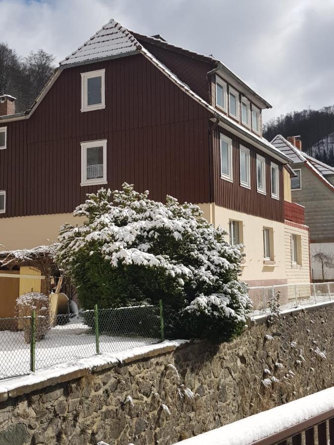 Ferienhaus Am Fluss Mit Traumhafter Dachterrasse ,Garten Und Grill Walkenried Dış mekan fotoğraf