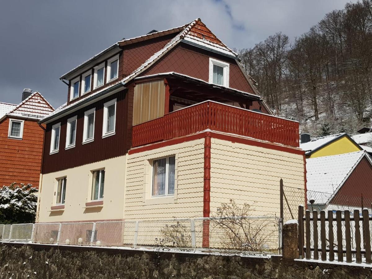 Ferienhaus Am Fluss Mit Traumhafter Dachterrasse ,Garten Und Grill Walkenried Dış mekan fotoğraf