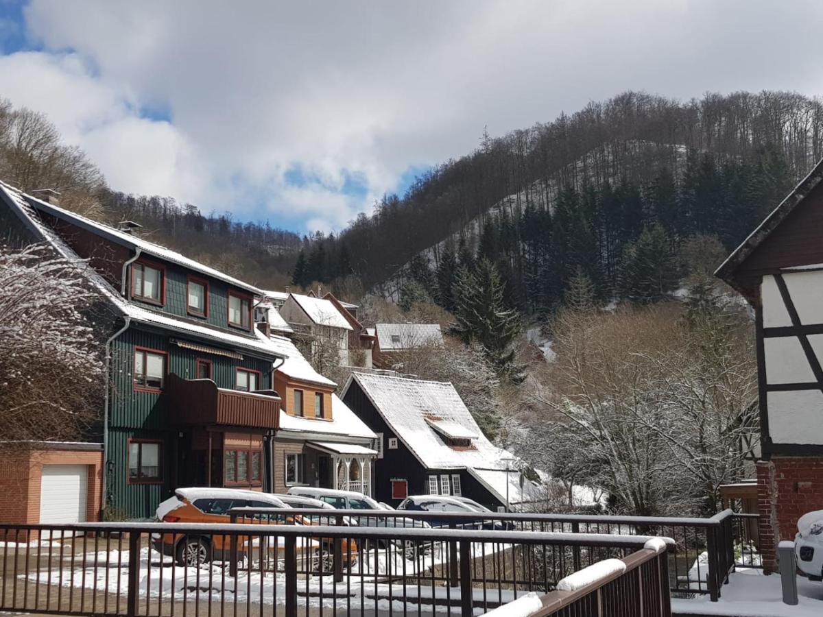 Ferienhaus Am Fluss Mit Traumhafter Dachterrasse ,Garten Und Grill Walkenried Dış mekan fotoğraf