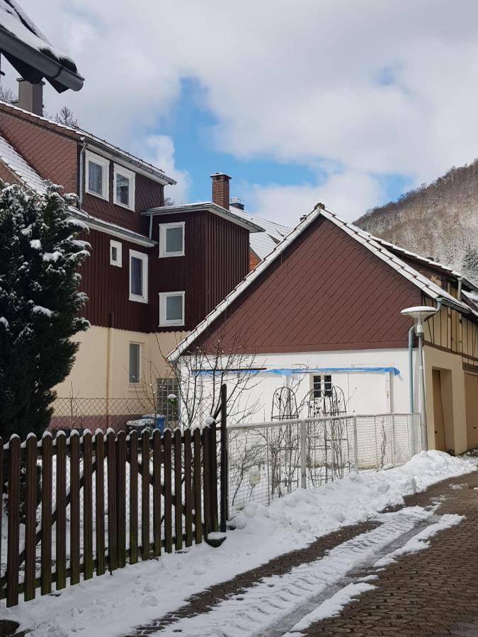 Ferienhaus Am Fluss Mit Traumhafter Dachterrasse ,Garten Und Grill Walkenried Dış mekan fotoğraf