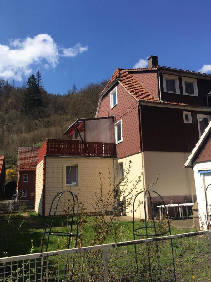 Ferienhaus Am Fluss Mit Traumhafter Dachterrasse ,Garten Und Grill Walkenried Dış mekan fotoğraf